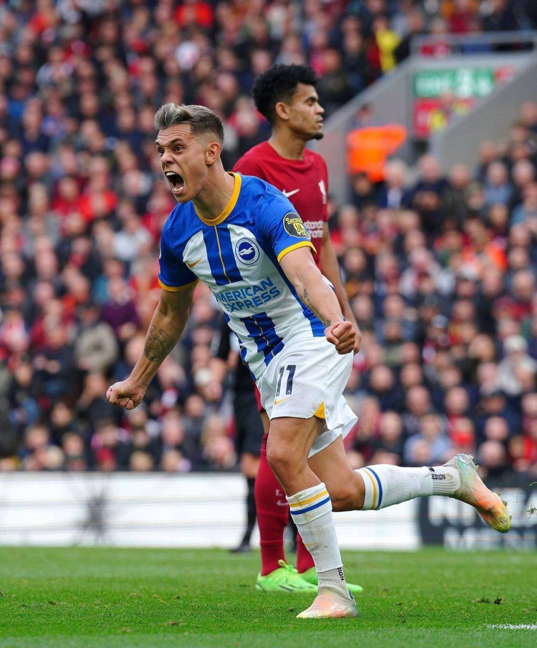 Леандро Троссард