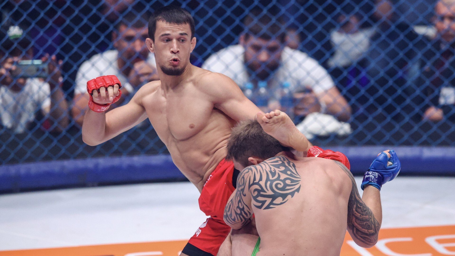 «Мы бы объявили». Уайт — о переходе Усмана Нурмагомедова в UFC