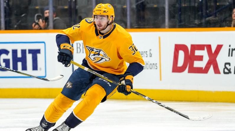 «Он уже и на НХЛ начал лаять». Кожевников – о выступлениях Гашека против русских