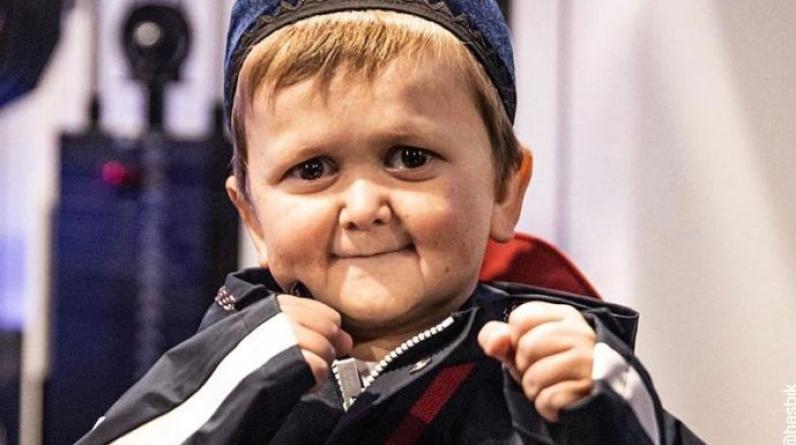 Перед UFC 280 участники турнира оценили бойцовские навыки Хасбика в ММА. Он справился с Волкановски