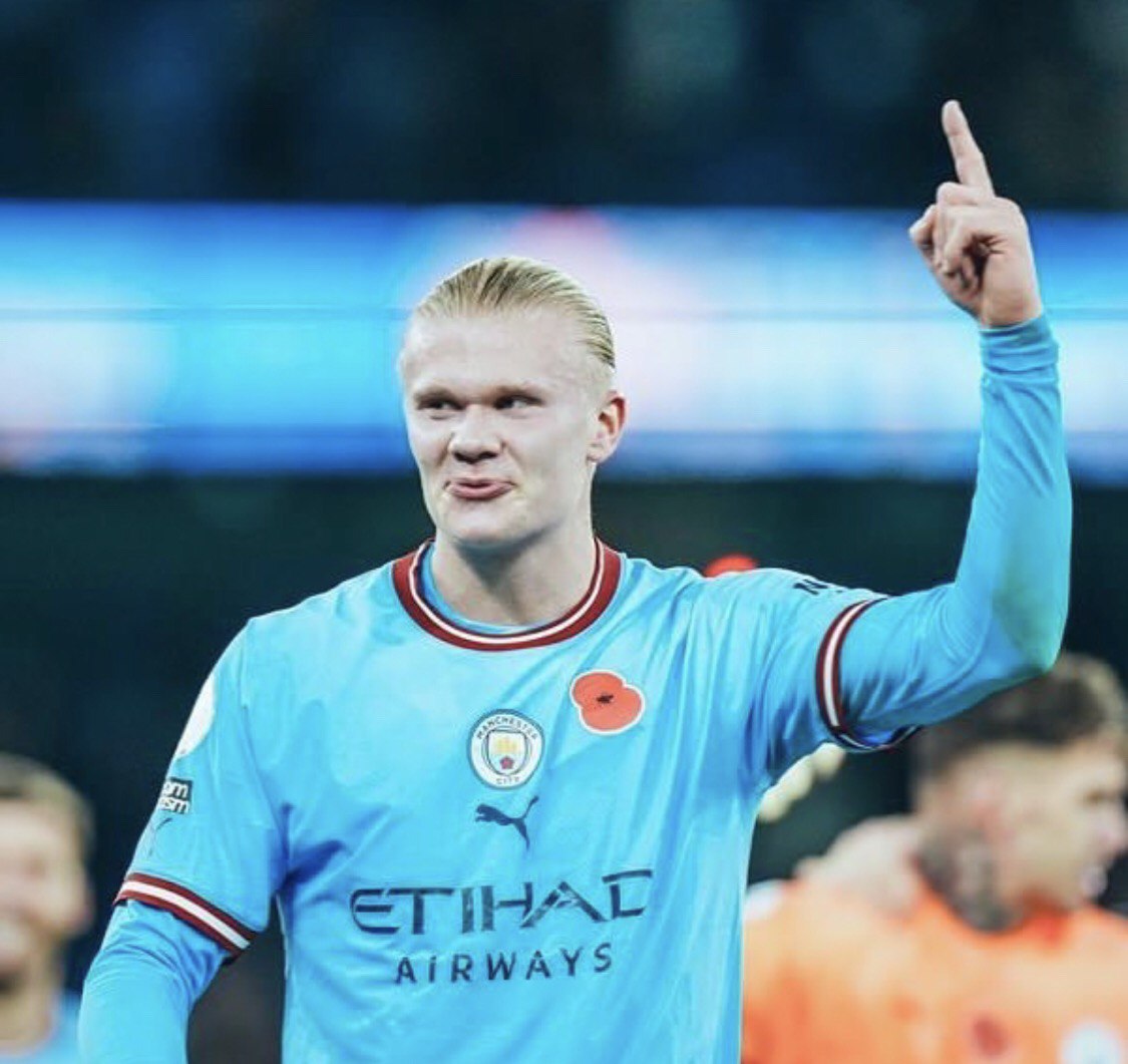 Эрлинг Холанн