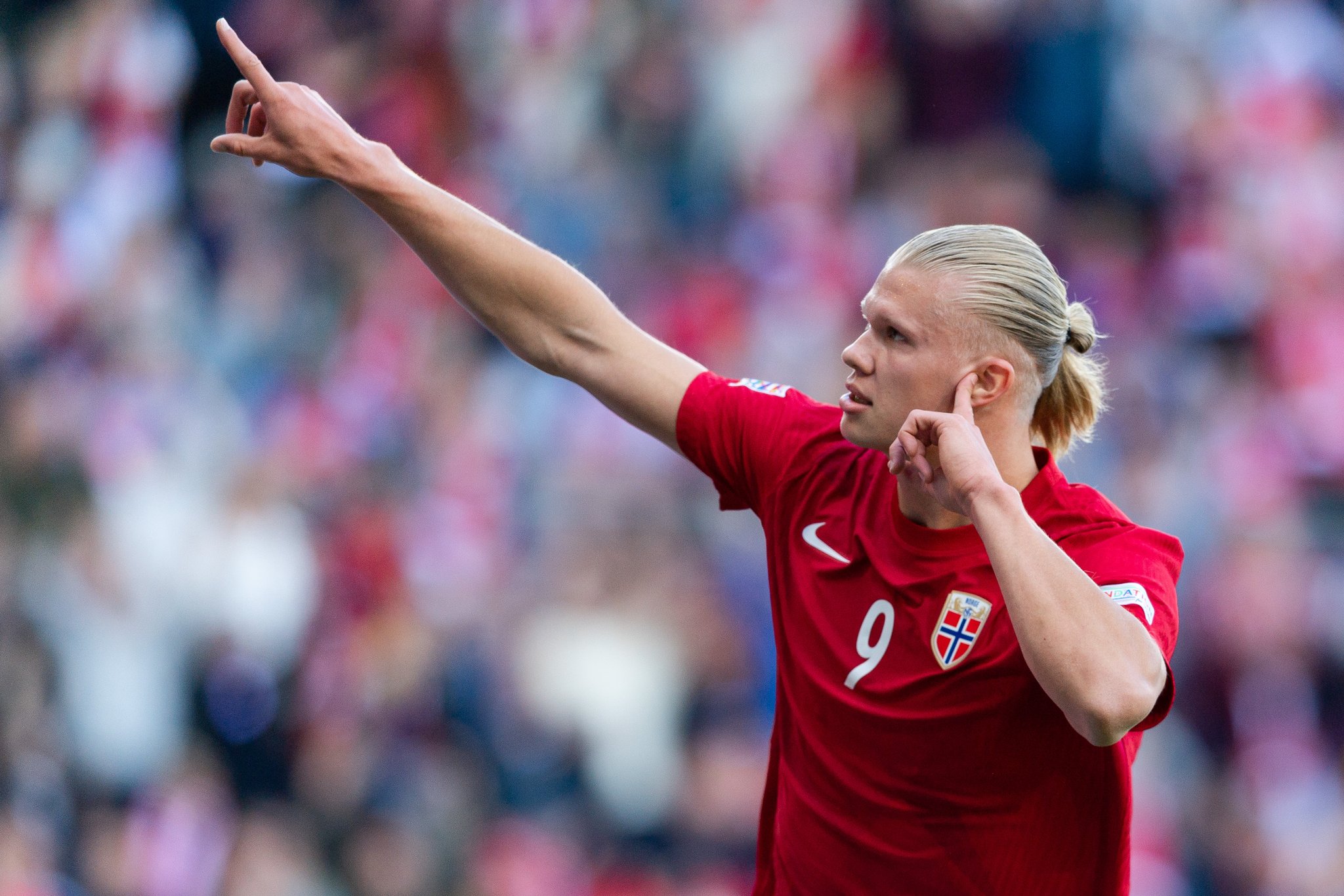 Эрлинг Холанн