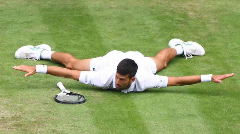 В честь Джоковича назвали новый вид жужелицы. Новак отреагировал